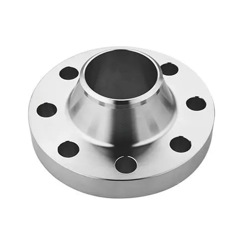 Stainless Steel 316 Flanges